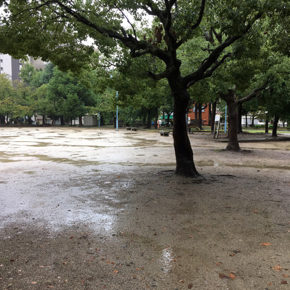 Rain Park._b0107163_10474302.jpg