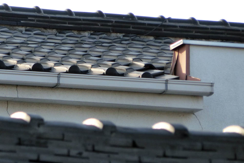 e0019563_17252103.jpg