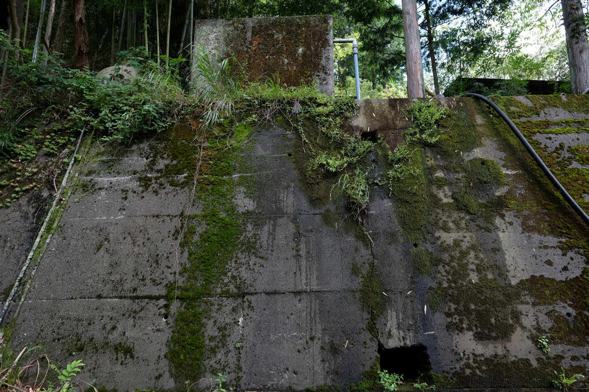 c0084666_14453100.jpg