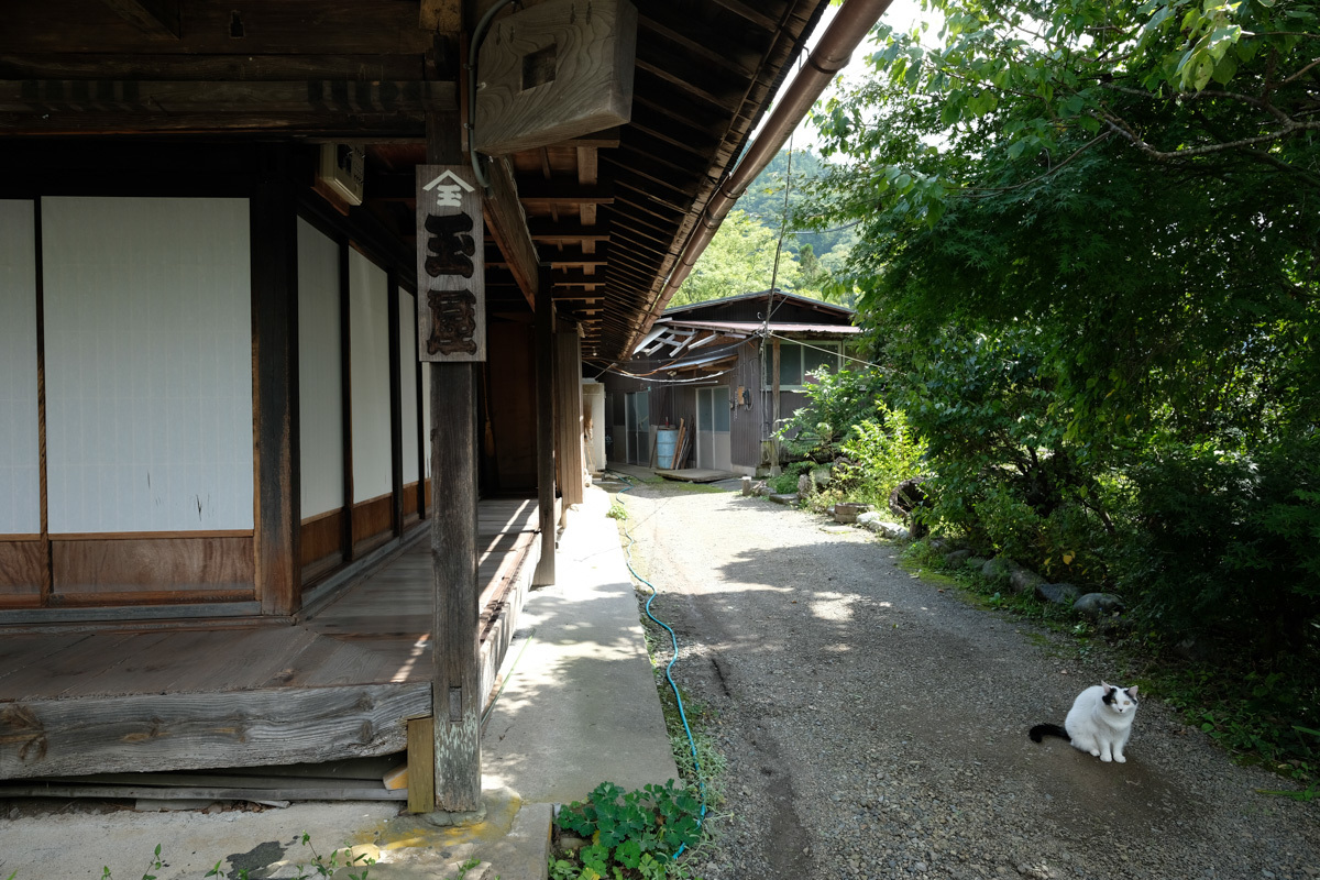 c0084666_17590782.jpg