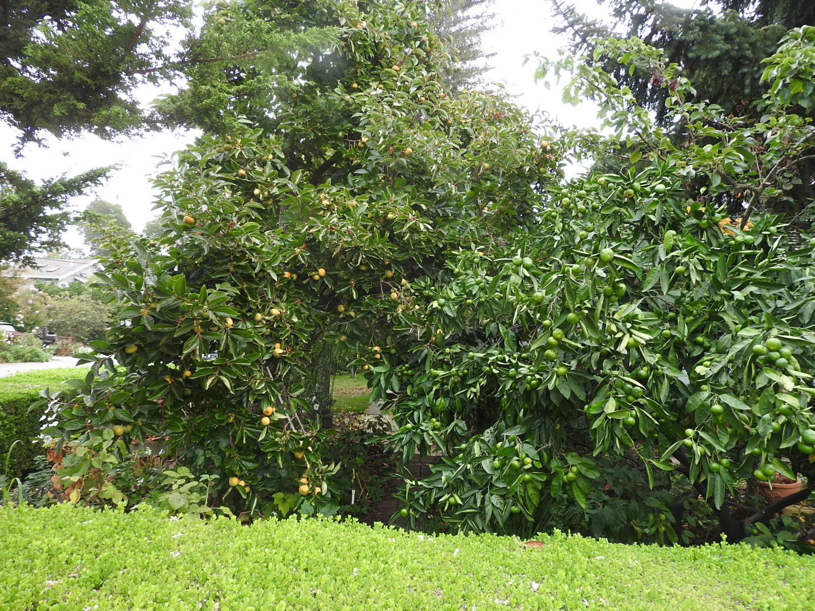c0115366_21553788.jpg