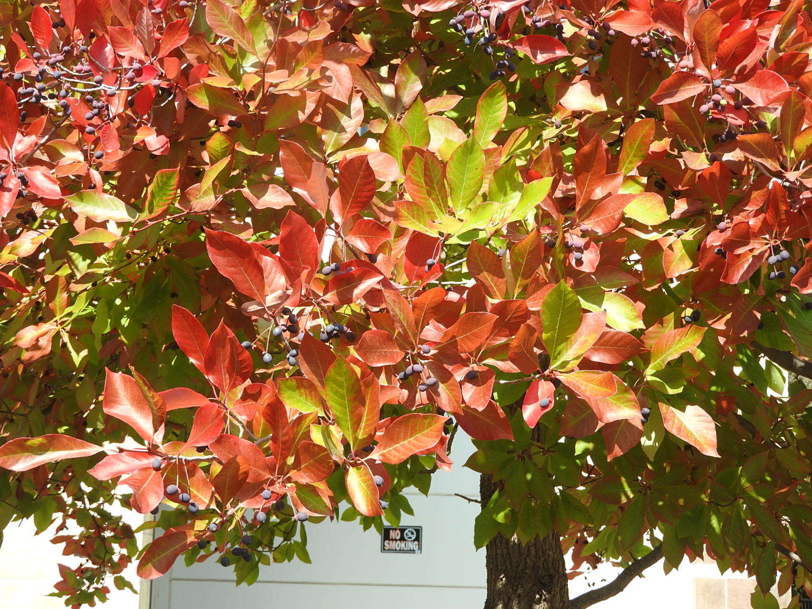 c0115366_22022179.jpg