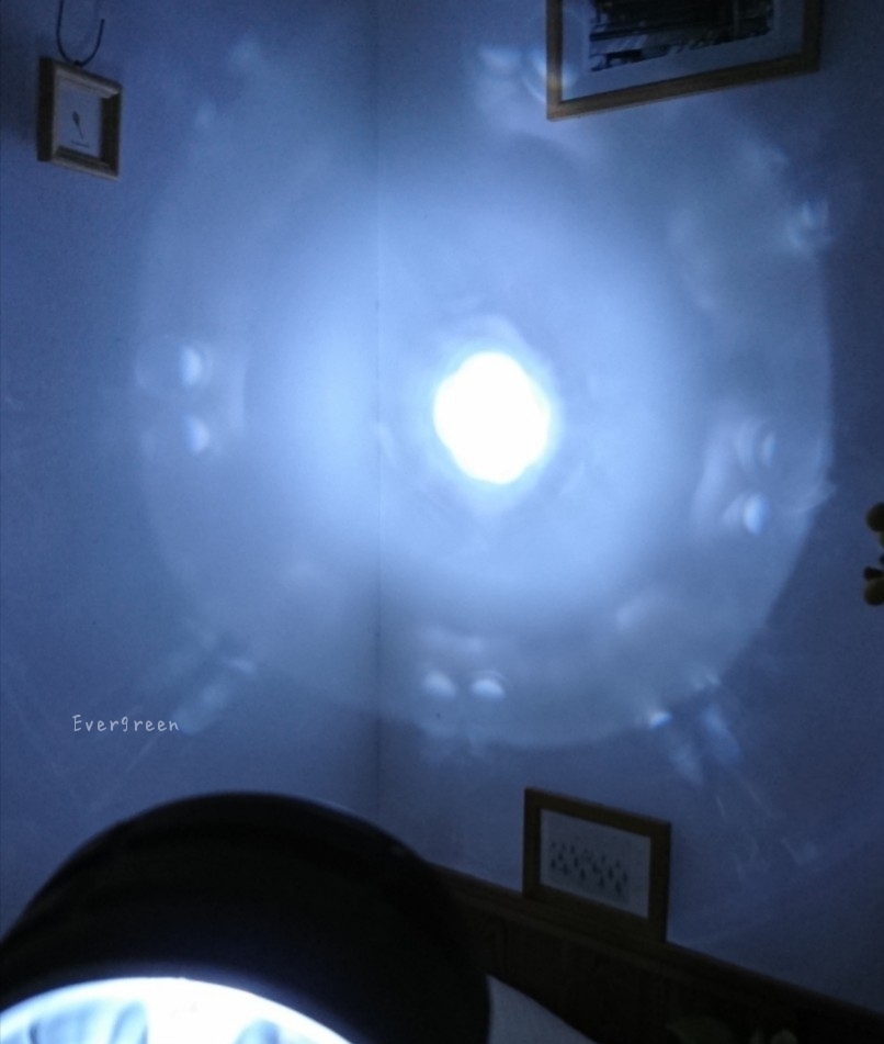 d0362666_16561110.jpg