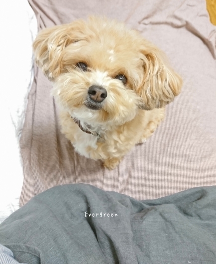 9/30(日) ② みかんのおなか。_d0362666_19211386.jpg