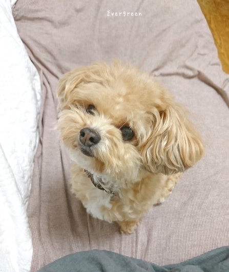 9/30(日) ② みかんのおなか。_d0362666_19490651.jpg
