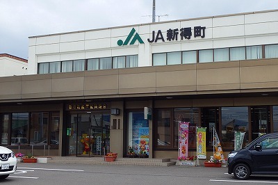 b0171771_08013507.jpg