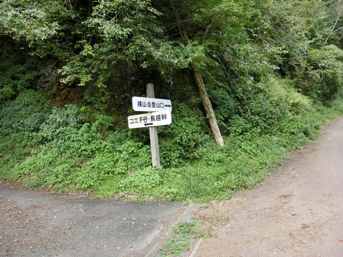 b0185573_73584.jpg
