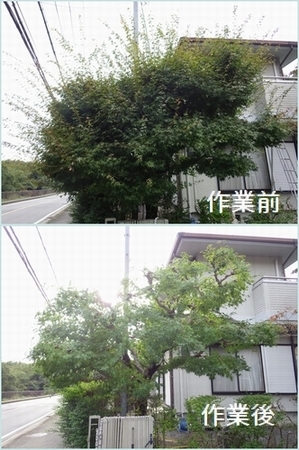 なつめ あ