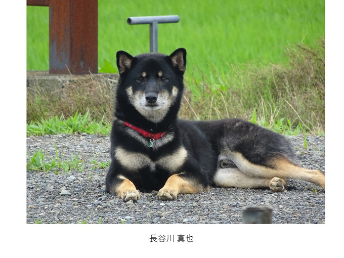 インスタ映えする写真術!第一回写真コンテスト結果発表!_e0171573_11302428.jpg
