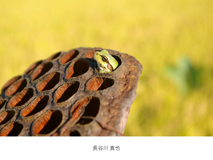 インスタ映えする写真術!第一回写真コンテスト結果発表!_e0171573_11305318.jpg