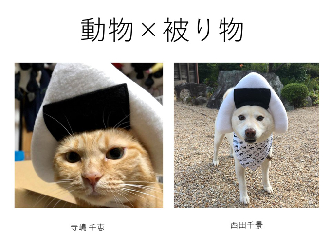 インスタ映えする写真術!第一回写真コンテスト結果発表!_e0171573_1131195.jpg