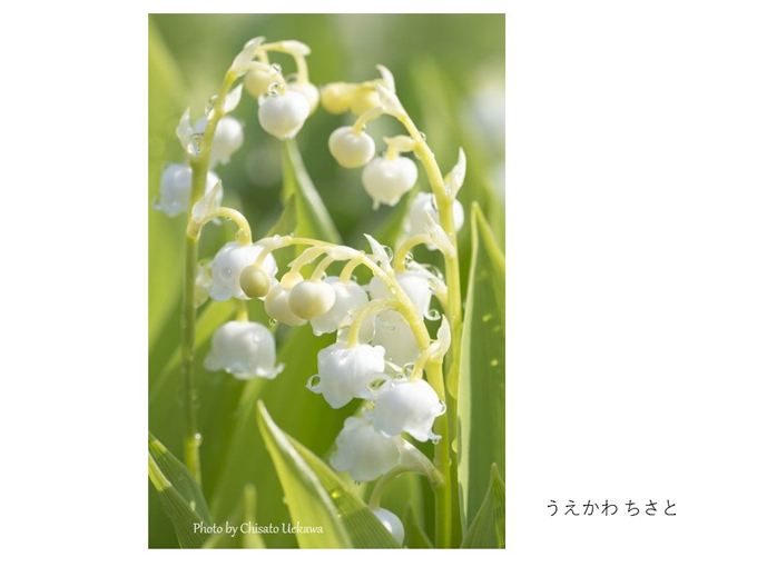 インスタ映えする写真術!第一回写真コンテスト結果発表!_e0171573_11321557.jpg