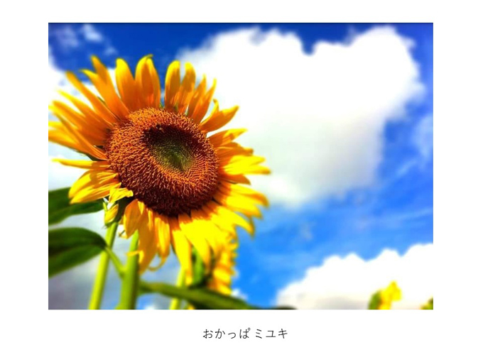 インスタ映えする写真術!第一回写真コンテスト結果発表!_e0171573_11322467.jpg