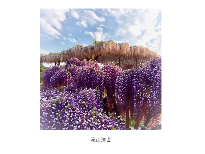 インスタ映えする写真術!第一回写真コンテスト結果発表!_e0171573_11323289.jpg