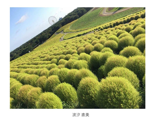 インスタ映えする写真術!第一回写真コンテスト結果発表!_e0171573_1133876.jpg
