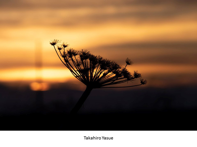 インスタ映えする写真術!第一回写真コンテスト結果発表!_e0171573_11342799.jpg