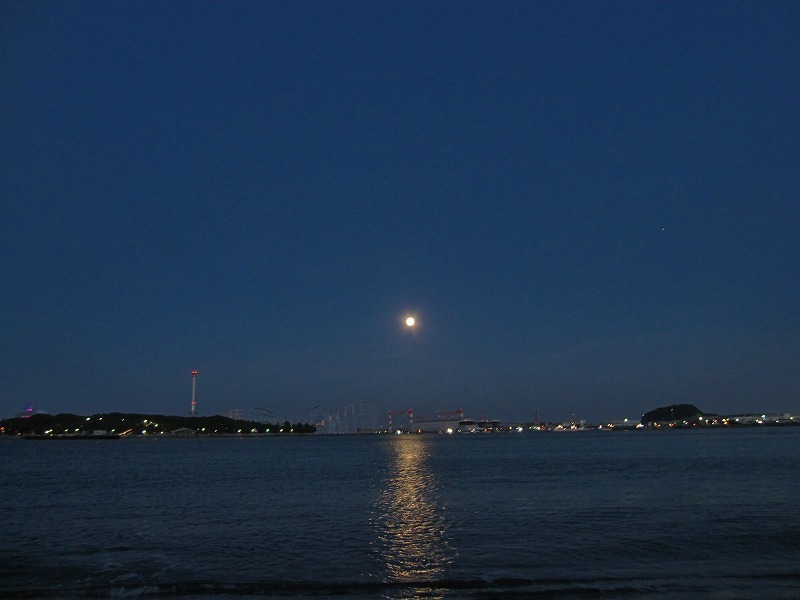 e0374581_23531700.jpg