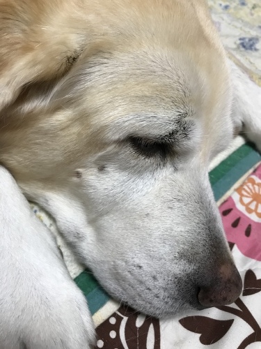 f0315081_22110535.jpeg