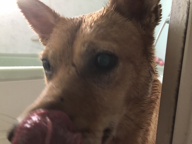 b0377882_15333223.jpeg