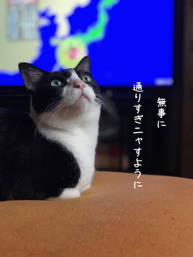 a0216583_19534733.png