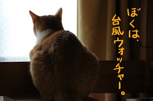 不思議だね!_a0333195_21201127.jpg