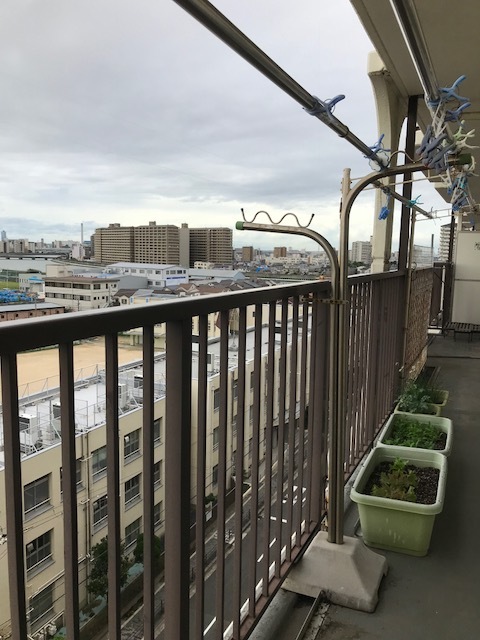 f0204295_12432855.jpg