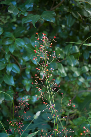 f0239100_22462869.jpg