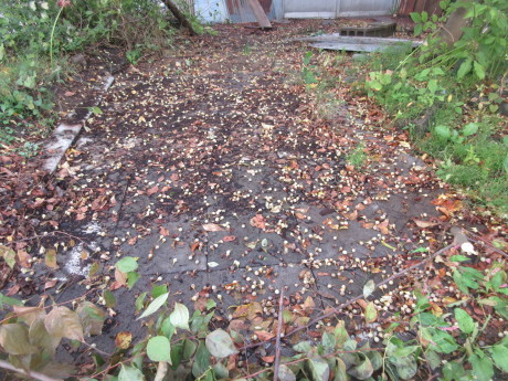 a0203003_15552333.jpg