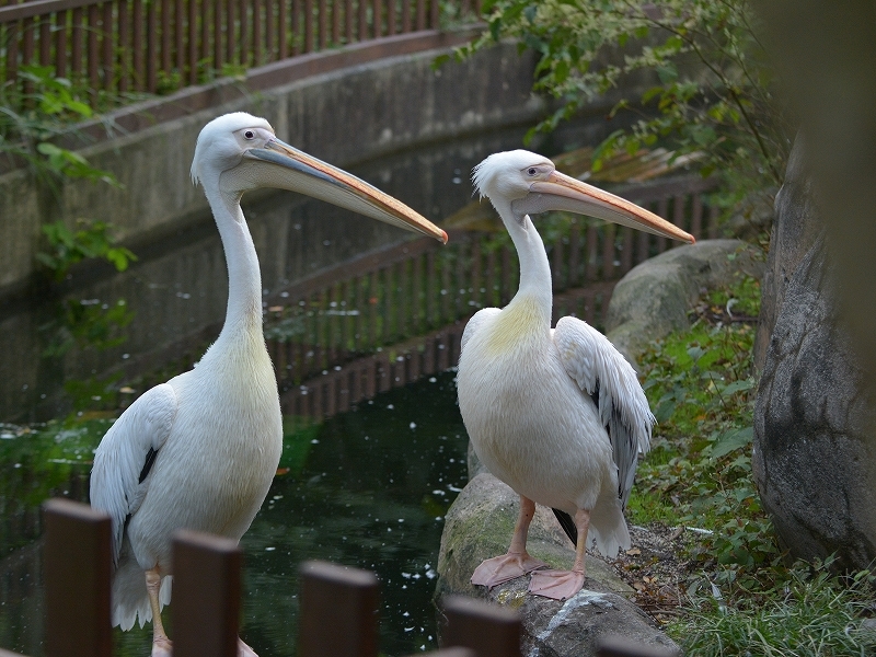 a0164204_10202939.jpg