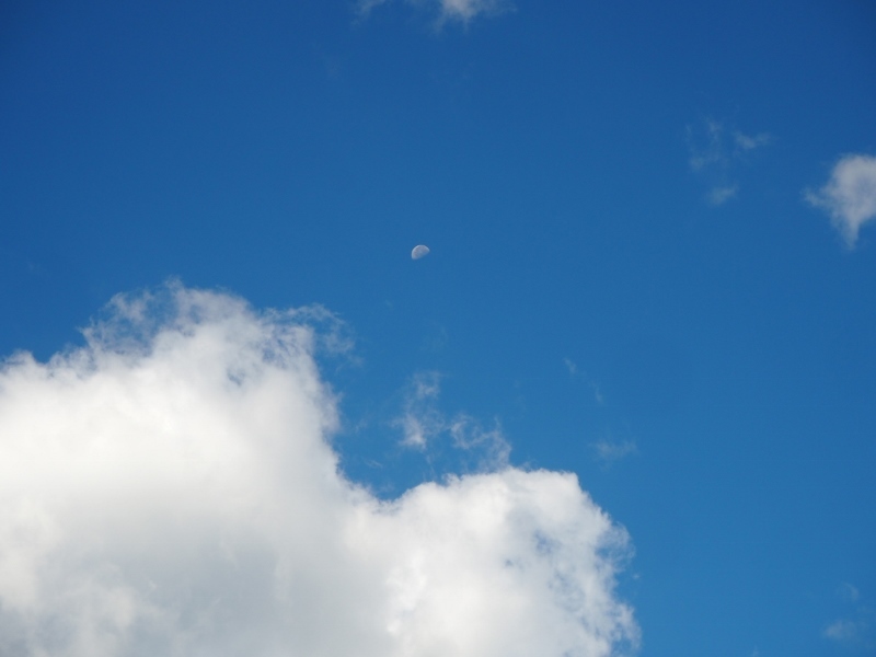 e0350905_13474666.jpg