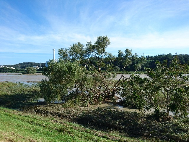 e0098223_22120125.jpg