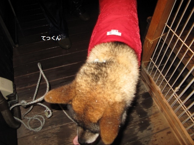 f0143123_08171870.jpg
