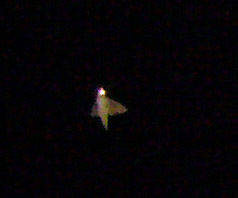 c0331825_10094932.jpg