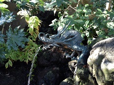 「10月のお水取りのできる人」_b0211926_12480252.jpg