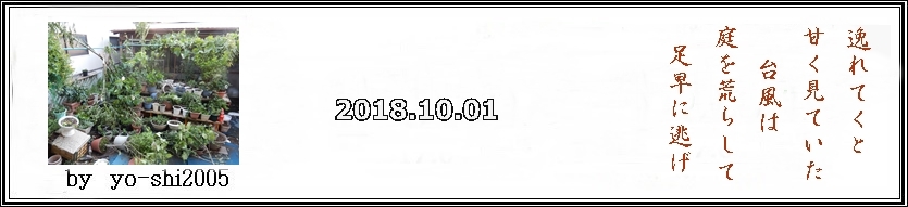 e0033229_16594418.jpg