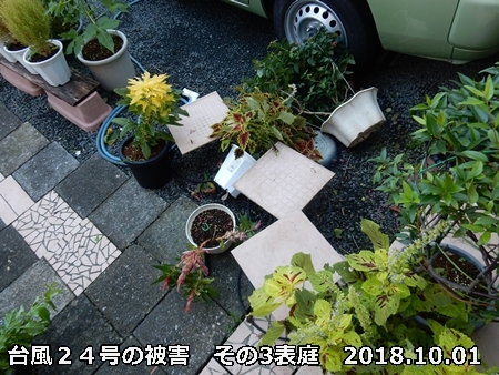 e0033229_17010217.jpg