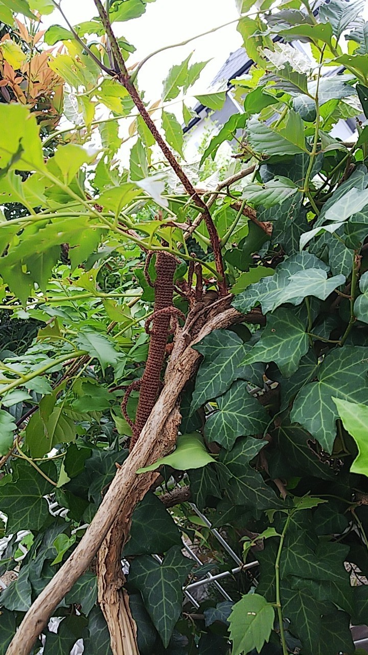 b0186130_08382062.jpg