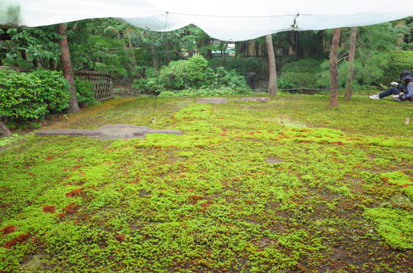 a0287336_22244261.jpg