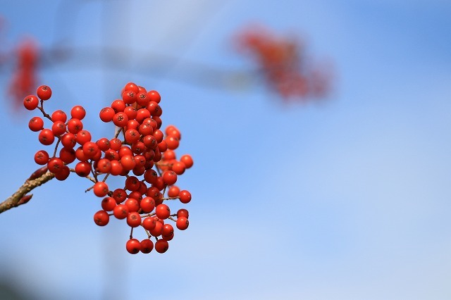 a0242438_21241010.jpg