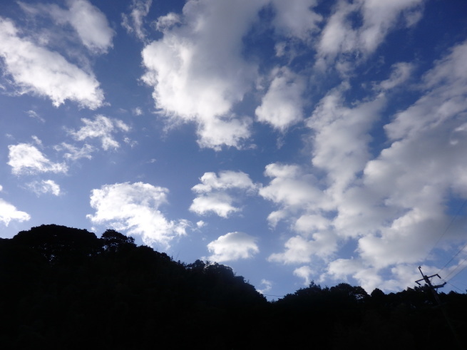 a0054240_20235630.jpg