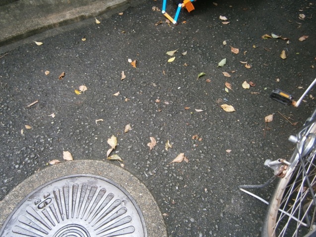 d0343540_17145866.jpg
