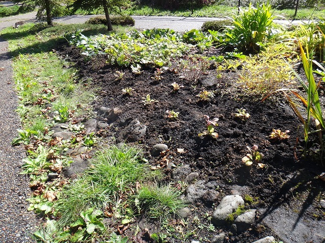 c0233141_14004113.jpg