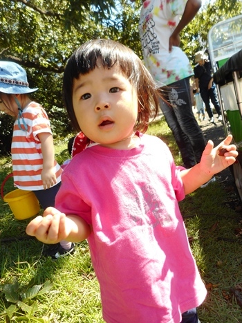 d0148342_16015257.jpg