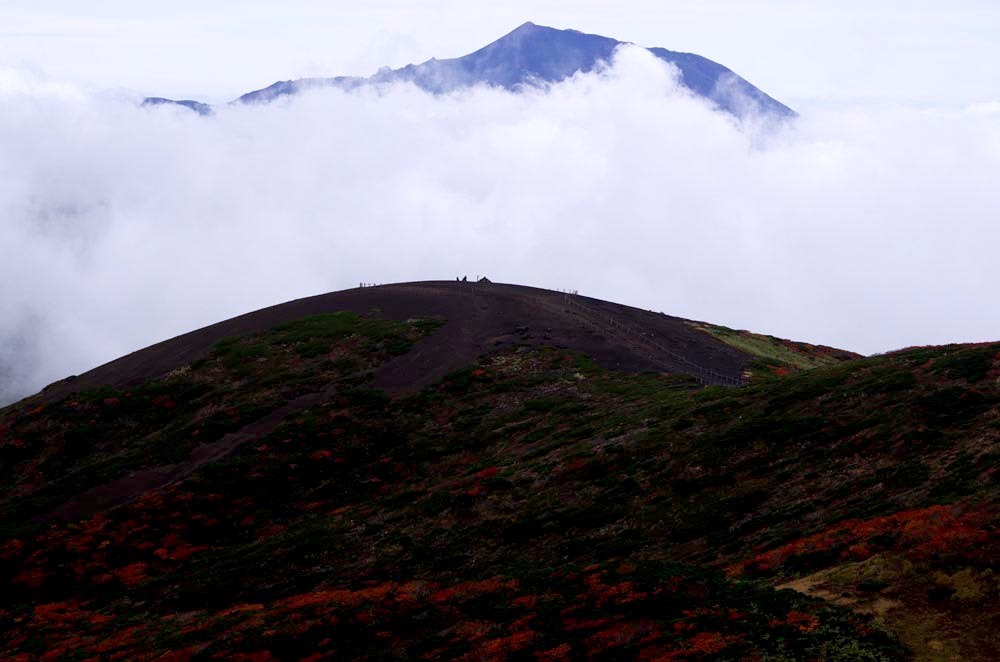 c0077847_22033736.jpg