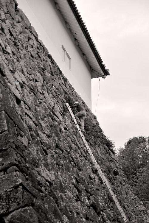 c0181552_21120550.jpg