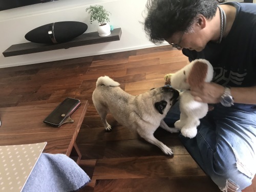 d0109356_11415969.jpeg