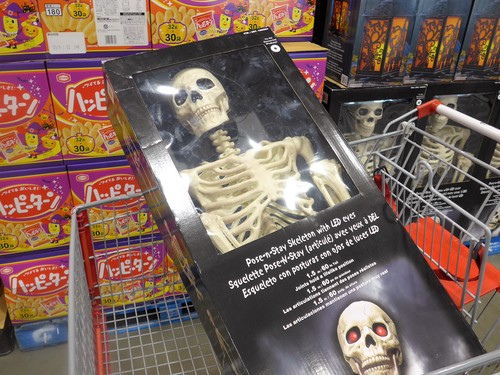 幕張「COSTCO コストコ 幕張店」へ行く。_f0232060_0154455.jpg