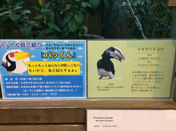 トロピカルエイビアリーのサイチョウとオオハシ 蜜蜂的写真日記 トロピカルエイビアリーのサイチョウとオオハシ 蜜蜂的写真日記