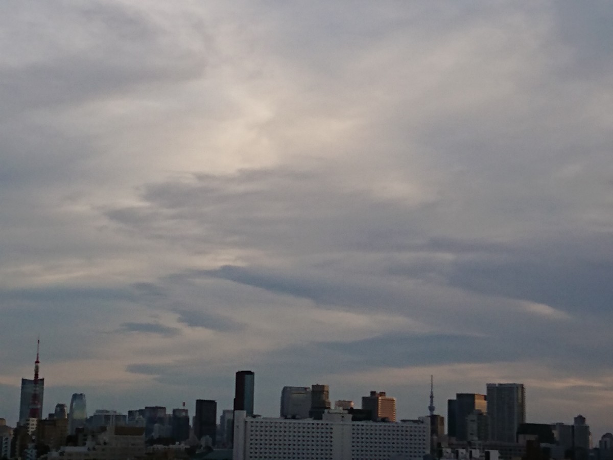 c0100865_05533653.jpg