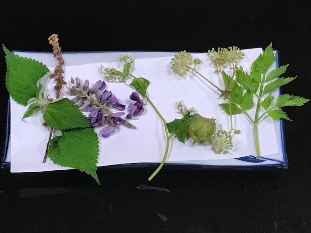 芸術祭、ハシゴする。（第二部・大地の芸術祭）・_d0117565_15585273.jpg